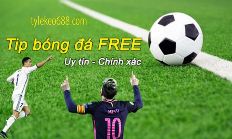 Cach chon tip bong da mien phi hinh anh 1