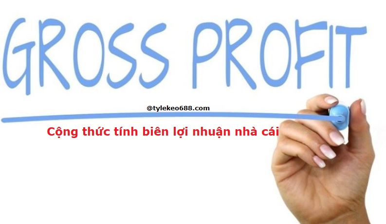 Cach tinh bien loi nhuan nha cai hinh anh 1