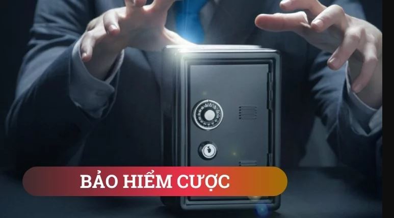 Bao hiem ca cuoc la gi