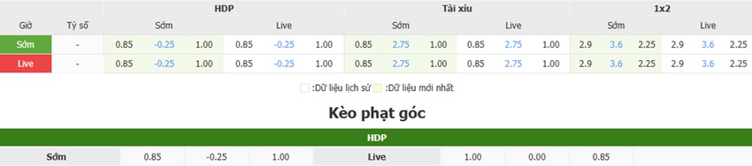 Ty le keo Tottenham vs Brighton chinh xac